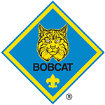 Bobcat Rank